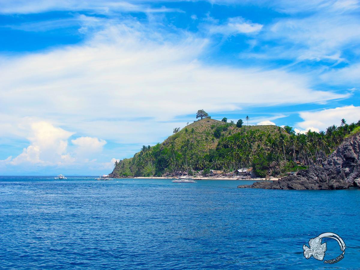 Bed and Breakfast Acqua Dive Zamboanguita  Zewnętrze zdjęcie